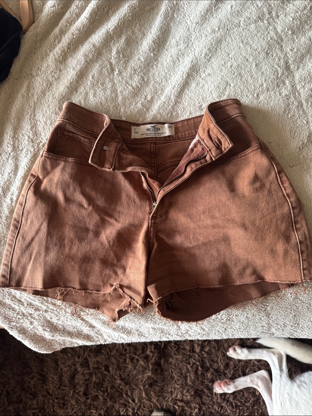 Hollister Women's Rust-Tone High-Rise Denim Cutoff Shorts